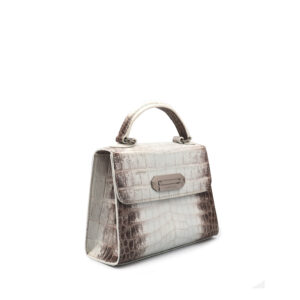 Alternative view of Poise Crocodile Himalaya 1